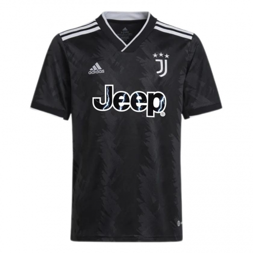 Juventus Soccer Jersey Away Replica 2022/23