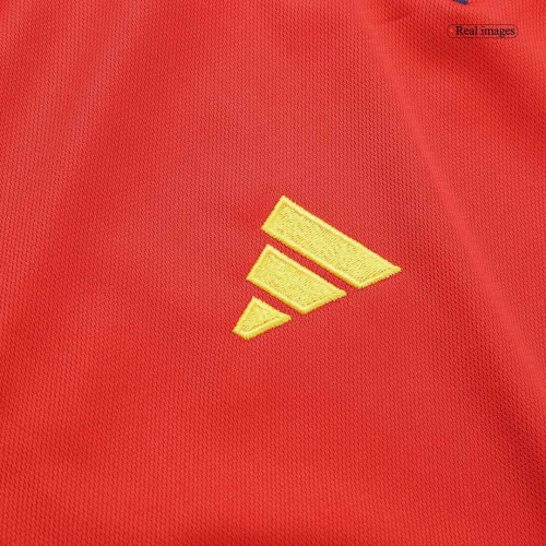 Spain Soccer Jersey Home Replica World Cup 2022