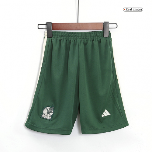 Mexico Kids Jersey Away Kit(Jersey+Shorts) Replica World Cup 2022