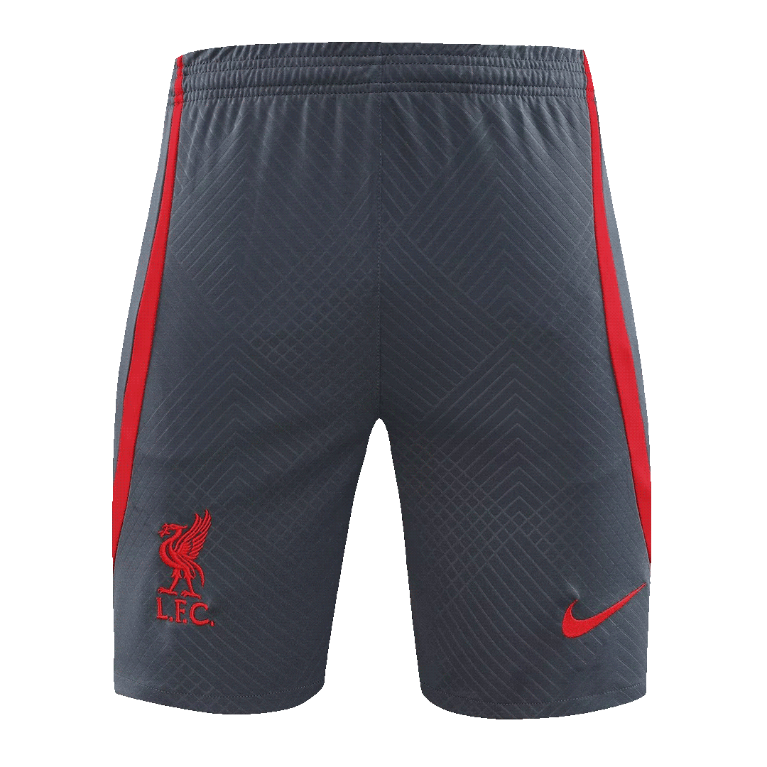 Liverpool Sleeveless Training Kit (Top+Shorts) Gray 2023/24