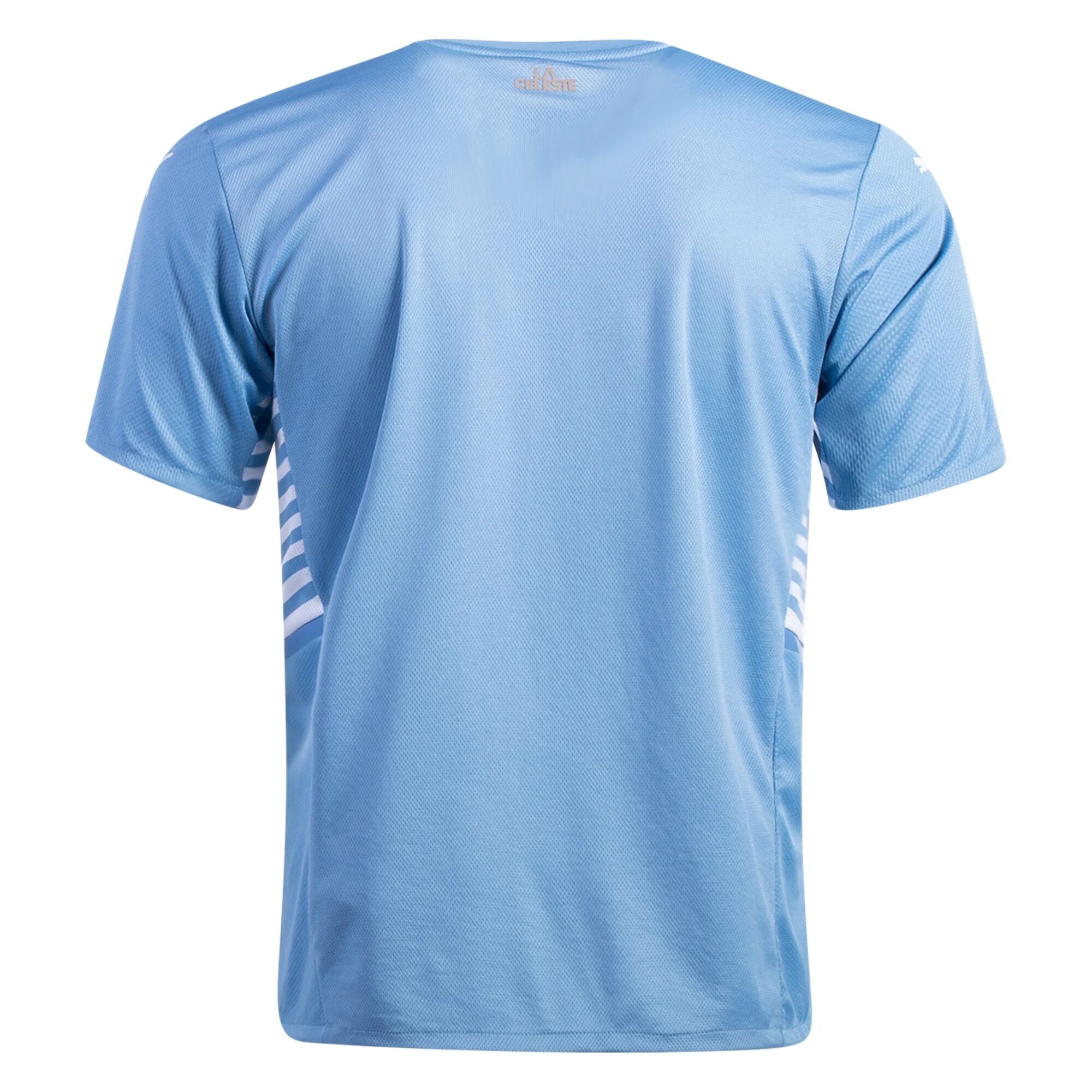 uruguay jersey soccer